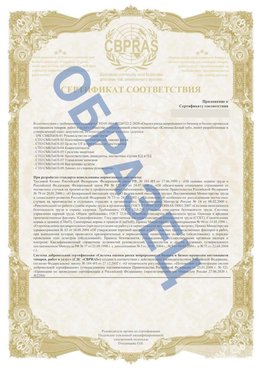 Образец Приложение к СТО 01.064.00220722.2-2020 Семенов Сертификат СТО 01.064.00220722.2-2020 